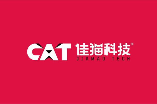 杭州seo泽成