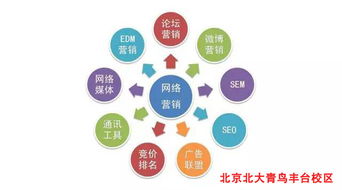 网络营销岗位招聘信息