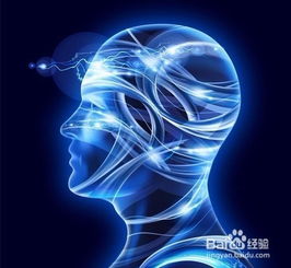 百度蜘蛛池效果:蜘蛛池IP技术，揭秘网络爬虫的智慧大脑