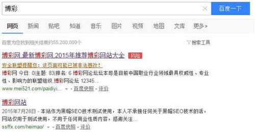 seo黑帽技术