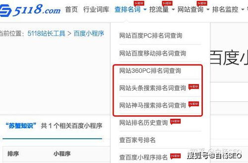 seo搜索查询