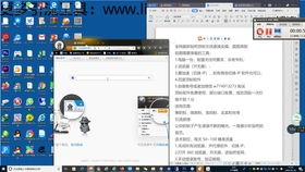 百度蜘蛛池引流:深入解析蜘蛛矿池手续费，合理与否，如何降低成本