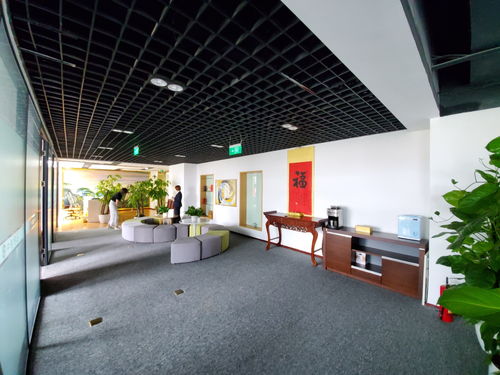 百度蜘蛛池出租:360蜘蛛池出租哪家好？揭秘行业佼佼者，助您轻松提升网站排名！