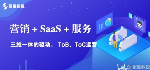湖北短视频seo营销