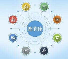 网站的营销推广方案