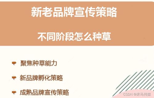 品牌宣传策略有哪些