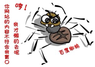 百度蜘蛛池优化:意外邂逅，家里洗菜池里的不速之客——大蜘蛛的奇妙故事