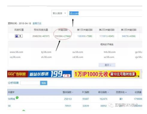seo是什么级别