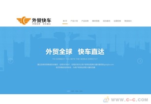 谷歌优化的网络公司