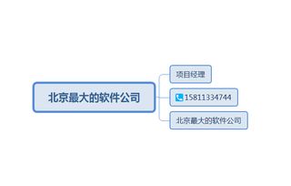 中国十大软件外包公司