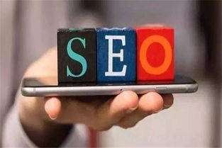 seo营销推广全程实例
