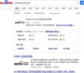 seo网址查询