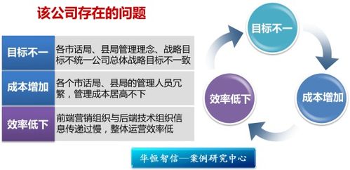优化公司结构