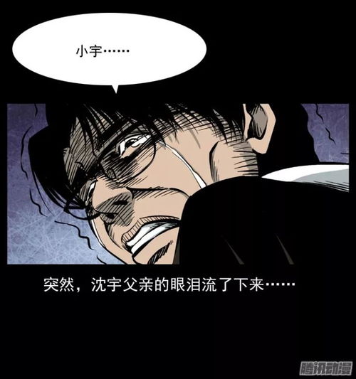 百度蜘蛛池咨询:王也蜘蛛池，探寻神秘世界的奇妙之旅