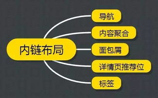 百度蜘蛛池优化:阿里蜘蛛池，高效内容抓取利器，助力网站SEO优化