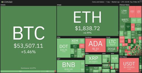 百度蜘蛛池咨询:BTC蜘蛛矿池，引领加密货币挖矿新潮流