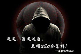 百度蜘蛛池收录:揭秘蜘蛛池黑帽寄生虫，网络安全的隐形杀手