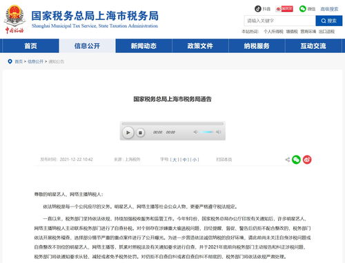 国家税务总局网站查询