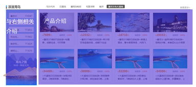 郑州seo使用教程