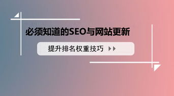 seo顾问服务公司站长