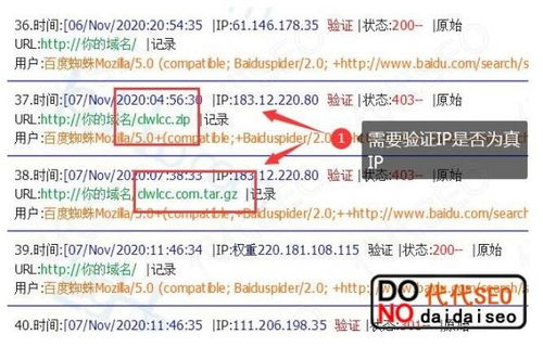 百度蜘蛛池咨询:揭秘百度蜘蛛池一天多少钱，成本构成与盈利模式剖析