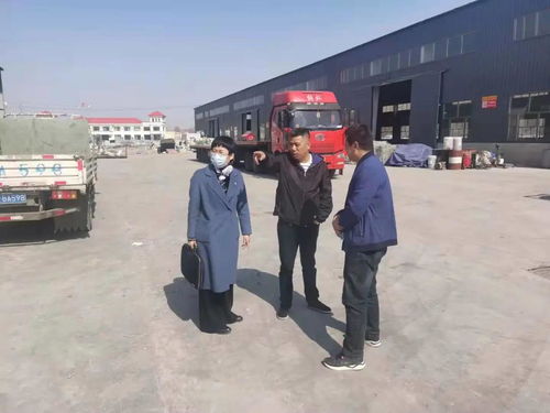 百度蜘蛛池优化:揭秘蜘蛛池搭建认定金苹果钅，揭秘互联网黑产背后的秘密
