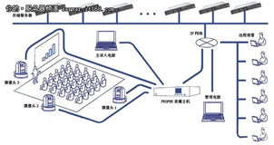 百度蜘蛛池出租:揭秘蜘蛛池原理，RR0521云速捷助力高效信息抓取