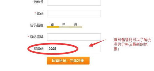 怎么从网上找客户