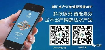 百度蜘蛛池引流:麒麟蜘蛛池使用方法视频详解，轻松上手，高效提升搜索引擎排名