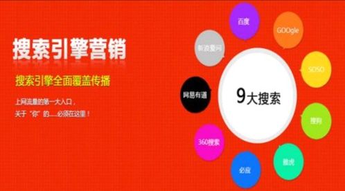 百度蜘蛛池价格:揭秘蜘蛛池的配方，打造高效信息搜集的利器