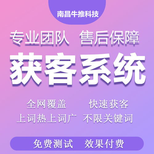 网站推广什么意思