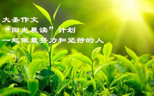 百度蜘蛛池效果:如何租用蜘蛛池的鱼塘，实用指南与注意事项