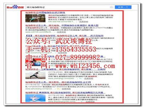 武汉网络推广公司排名