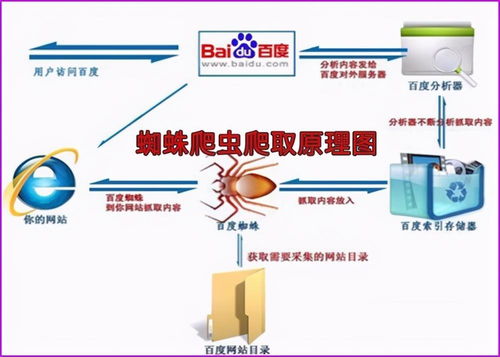 汕头seo排名外包