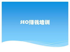 seo技术可以自学吗