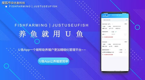 百度蜘蛛池引流:蜘蛛矿池APP登录指南，轻松掌握矿池服务，开启您的加密货币挖矿之旅