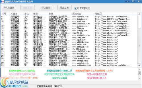 查询关键词排名工具