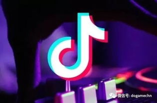 抖音推广运营