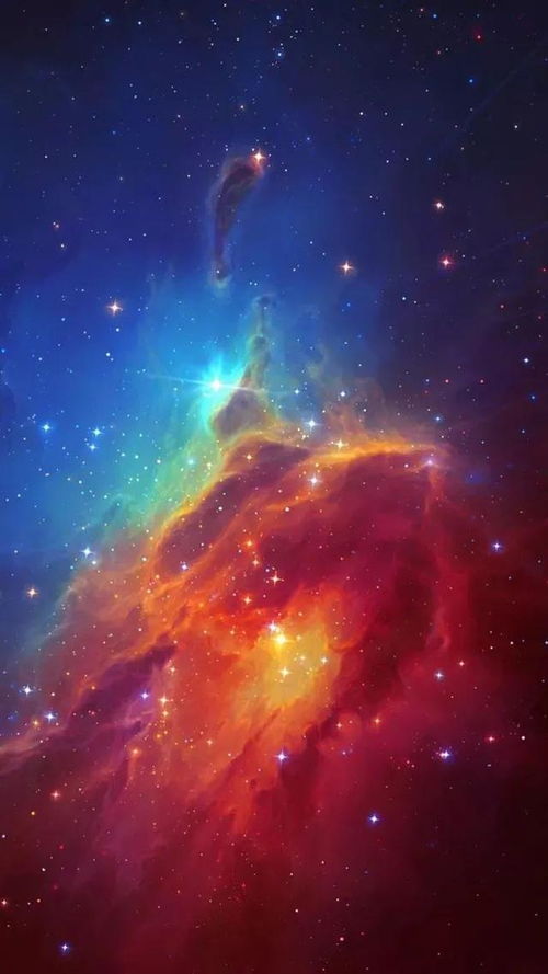 百度蜘蛛池引流:蜘蛛池的璀璨星空，揭秘蜘蛛池满天星的神秘魅力