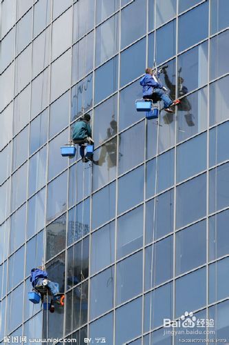 百度蜘蛛池效果:建设蜘蛛池，揭秘高效捕虫新利器