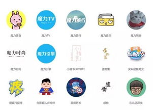 短视频培训方案