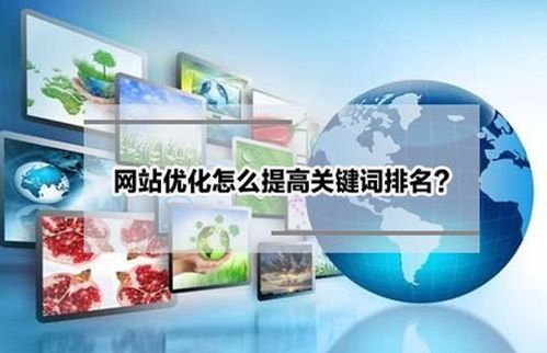 张家界seo