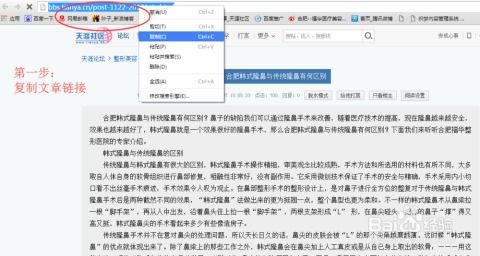 百度文章收录查询