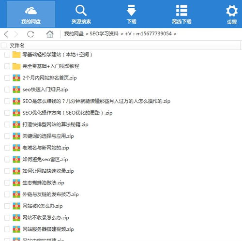 seo中文含义是什么