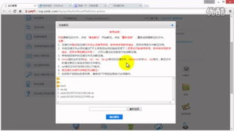 seo建站是什么