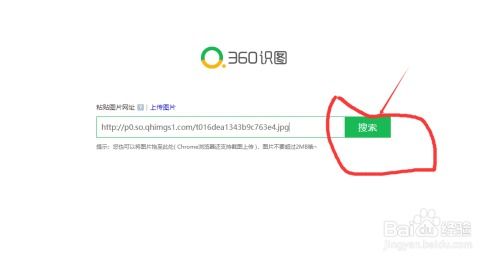 识图找图