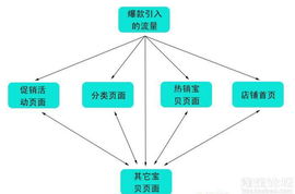 百度蜘蛛池引流:揭秘蜘蛛池免费推广引流秘籍，低成本打造爆款流量池
