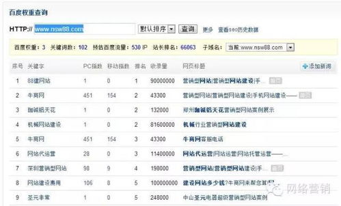 网址信息查询