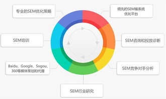 百度蜘蛛池价格:2019蜘蛛池精灵程序V6版，网络采集利器再升级，助力数据搜集新篇章