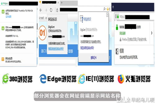 百度蜘蛛池收录:网站如何巧妙地放置蜘蛛池，提升搜索引擎排名
